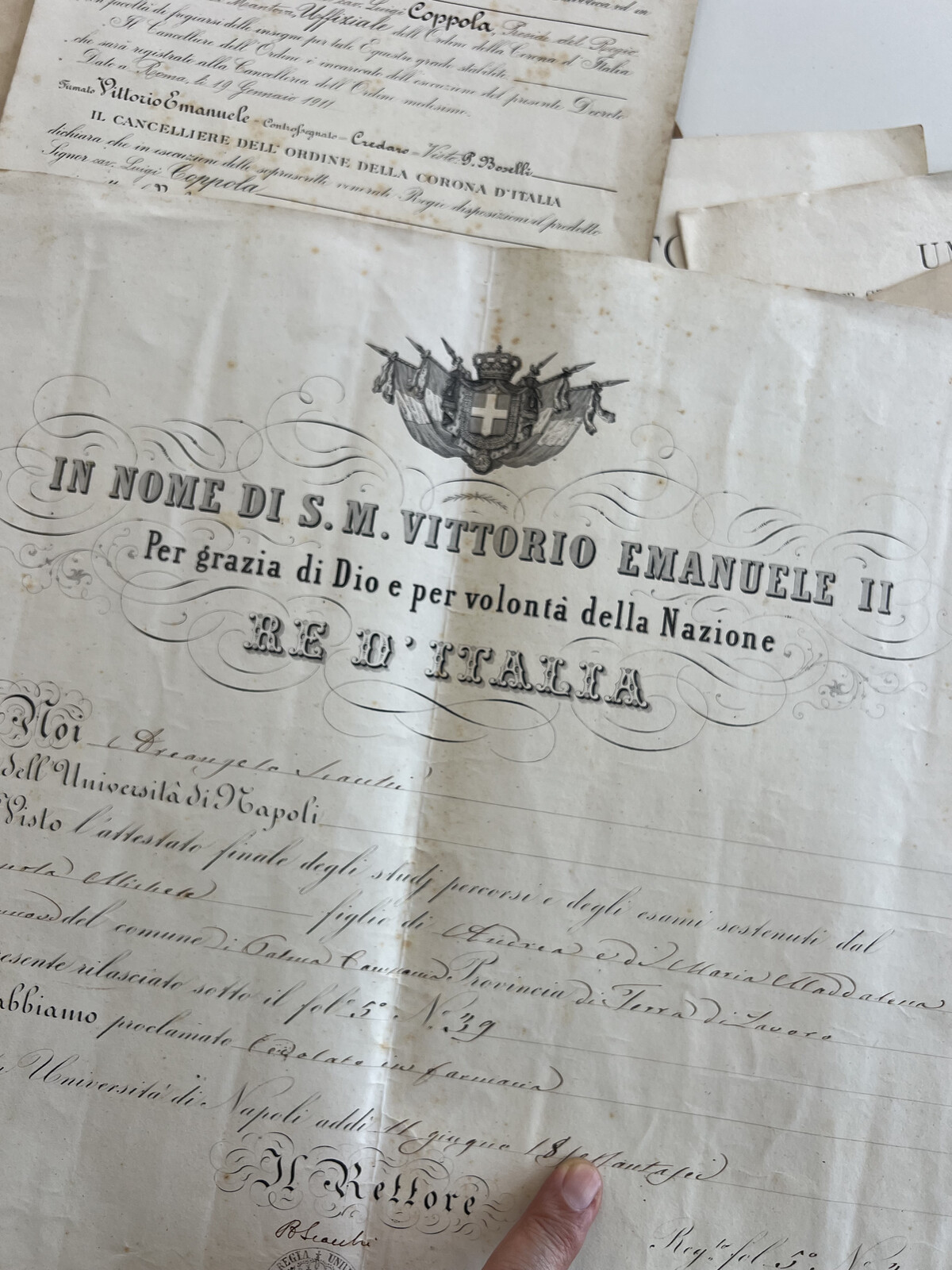 Allestimento del Musepa nelle stanze del Palazzo Comunale